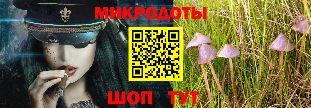 Галлюциногенные грибы мицелий Комсомольск-на-Амуре