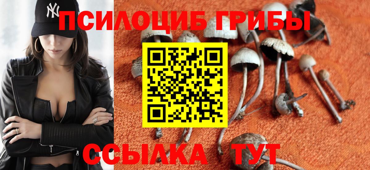 Комсомольск-на-Амуре  Псилоцибиновые грибы мухоморы  Вход с VPN 